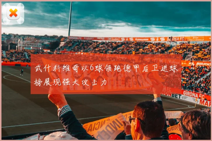 武什科维奇以6球领跑德甲后卫进球榜展现强大攻击力